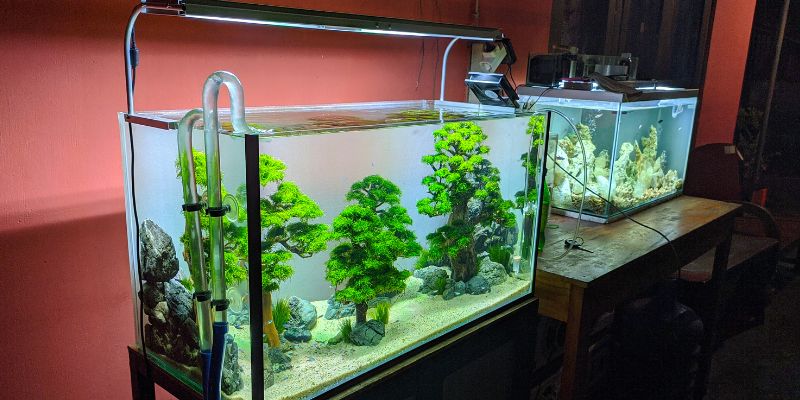 Aquário Feito na Vidraçaria: Quanto Custa e Como Solicitar o Seu? Pode fazer aquário na vidraçaria?